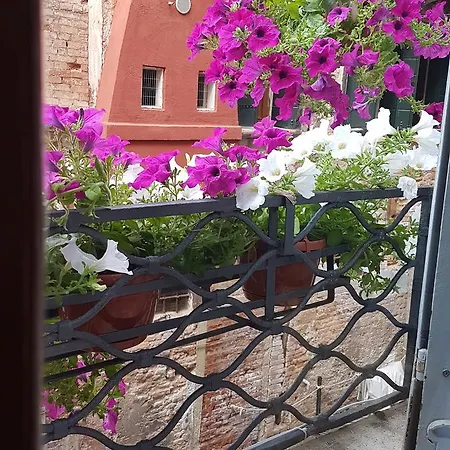 Гостевой дом Luxury -friendly