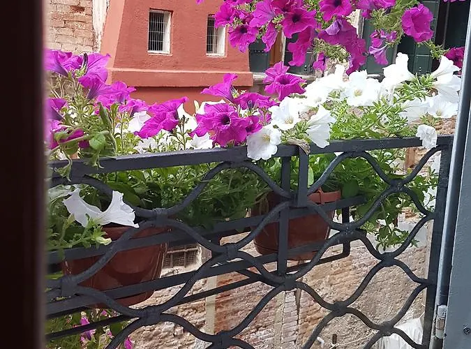 Guest house Friendly