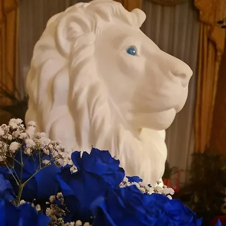 Luxury -friendly Venedig