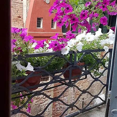 Friendly Venezia