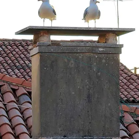 Affittacamere Friendly Venezia
