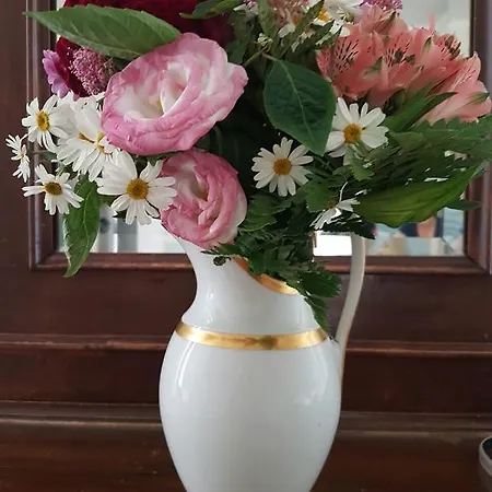 Luxury -friendly 4* Venedig