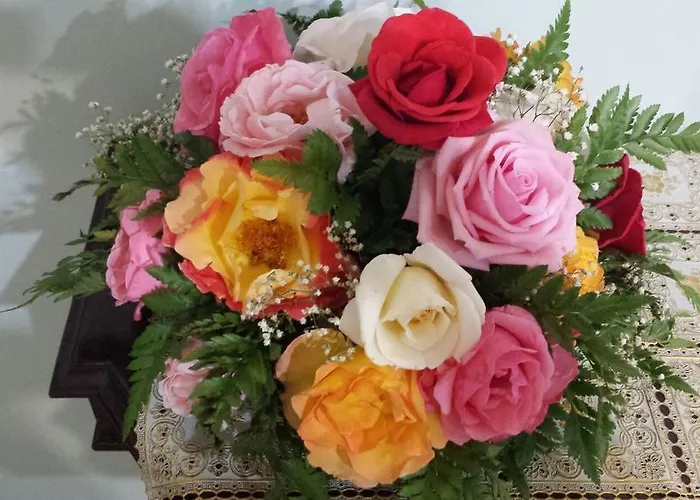 Friendly Casa de hóspedes 4*