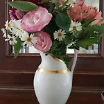 Friendly 4* البندقية