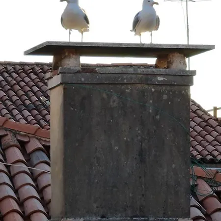 Friendly Pensjonat