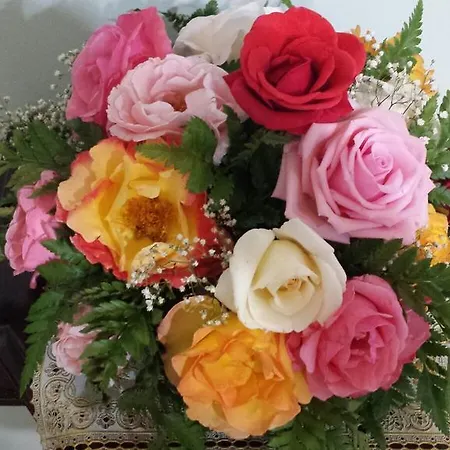 Luxury -friendly Gæstehus 4*